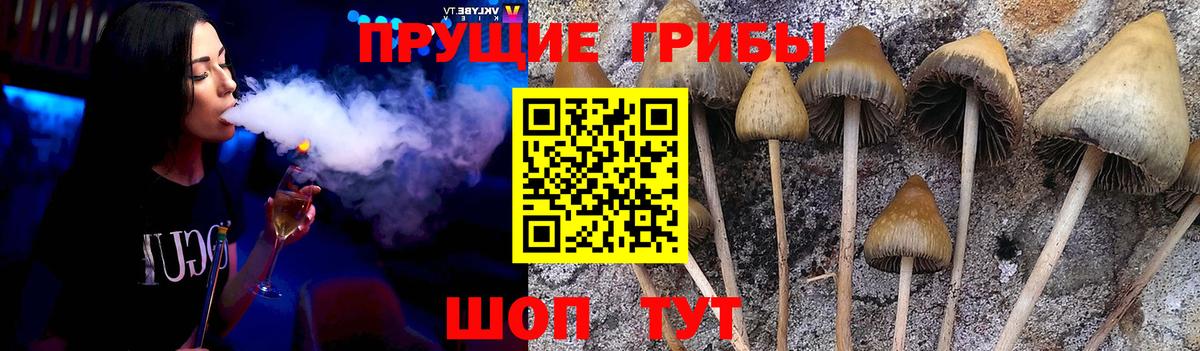 продажа наркотиков  Вход с VPN  Тобольск  Псилоцибиновые грибы Cubensis 