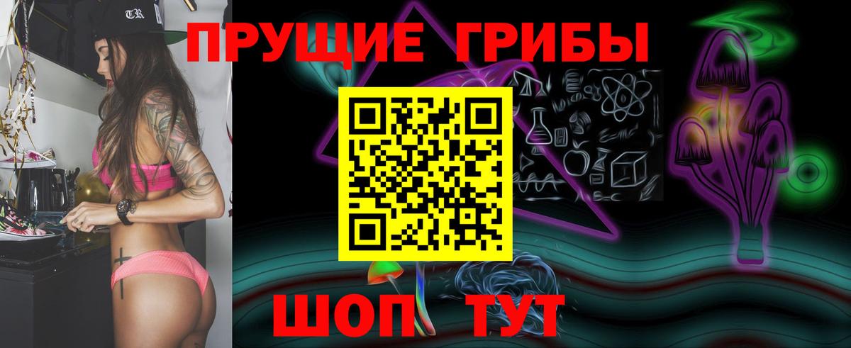 Псилоцибиновые грибы Cubensis Тобольск